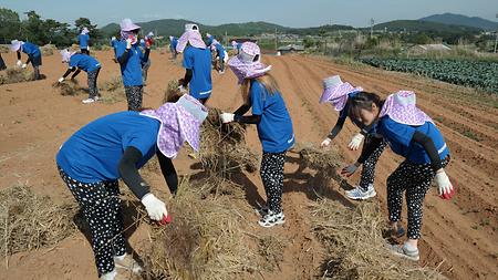 2017학년도 춘계 농촌봉사활동 이미지